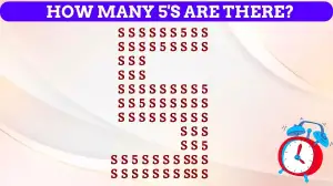 Cryptic Challenges: How Many 5s Can You Spot?