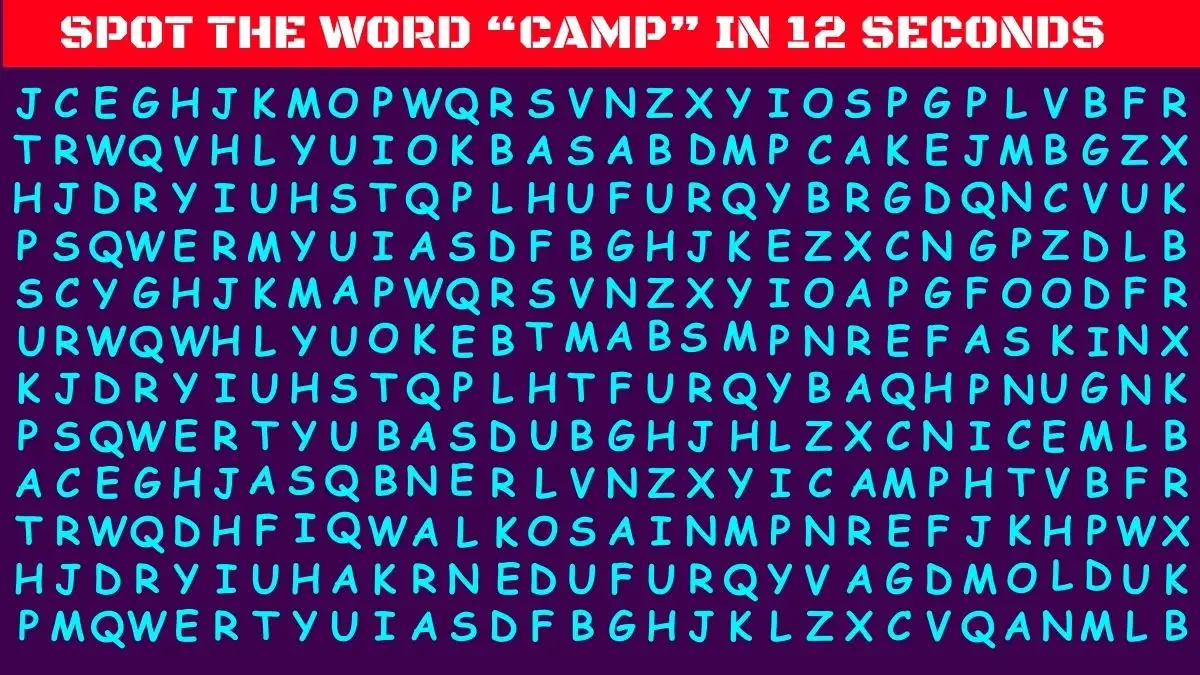 IQ Test Alert: Find the Secret Word CAMP in this Optical Illusion!