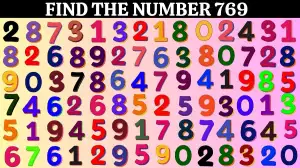 Mind Mastery Can You Find 769 in 9 Seconds