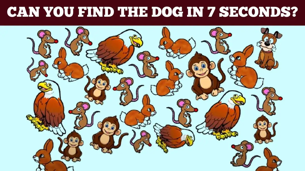 Observation Brain Challenge: Can you Find the DOG in 7 Seconds