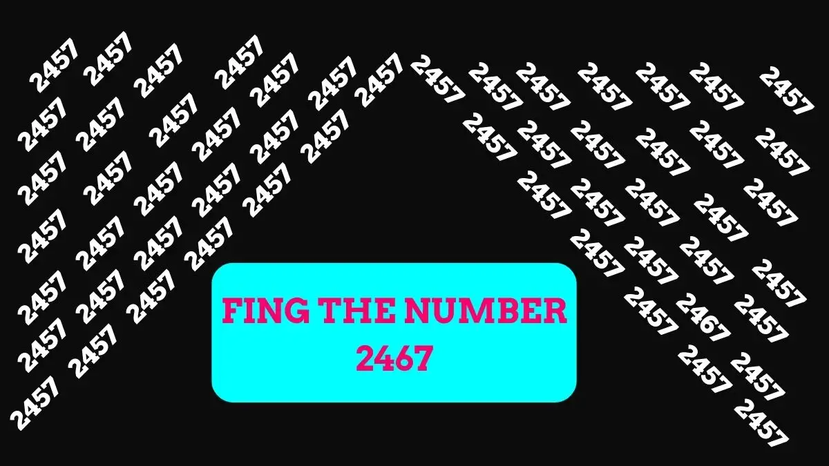 Observation Brain Challenge: Only 4k Vision People can Find the Number 2467 among 2457 in 14 Secs