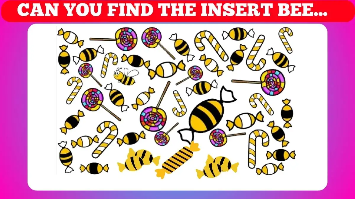 Observation Find it Out : Only 1% With Eagle Eyes Can Spot the Hidden Bee in the Chocolate Picture in Less then 5 Secs