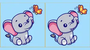 Only people with outstanding vision can spot 3 differences in the Elephant picture within 12 seconds