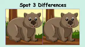 Only True Observers Will Be Able to Spot 3 Differences in The Bear Picture Within 12 Seconds