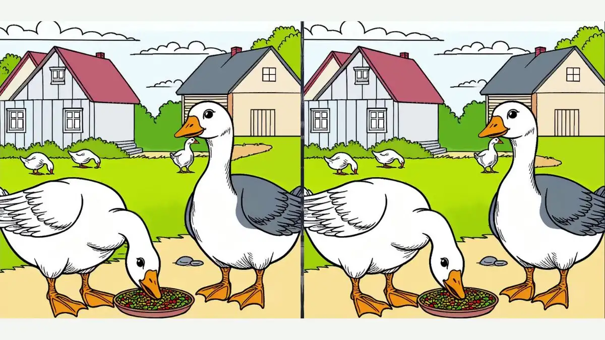 Only True Observers Will Be Able to Spot 3 Differences in The Duck Family Picture Within 10 Seconds