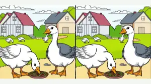 Only True Observers Will Be Able to Spot 3 Differences in The Duck Family Picture Within 10 Seconds