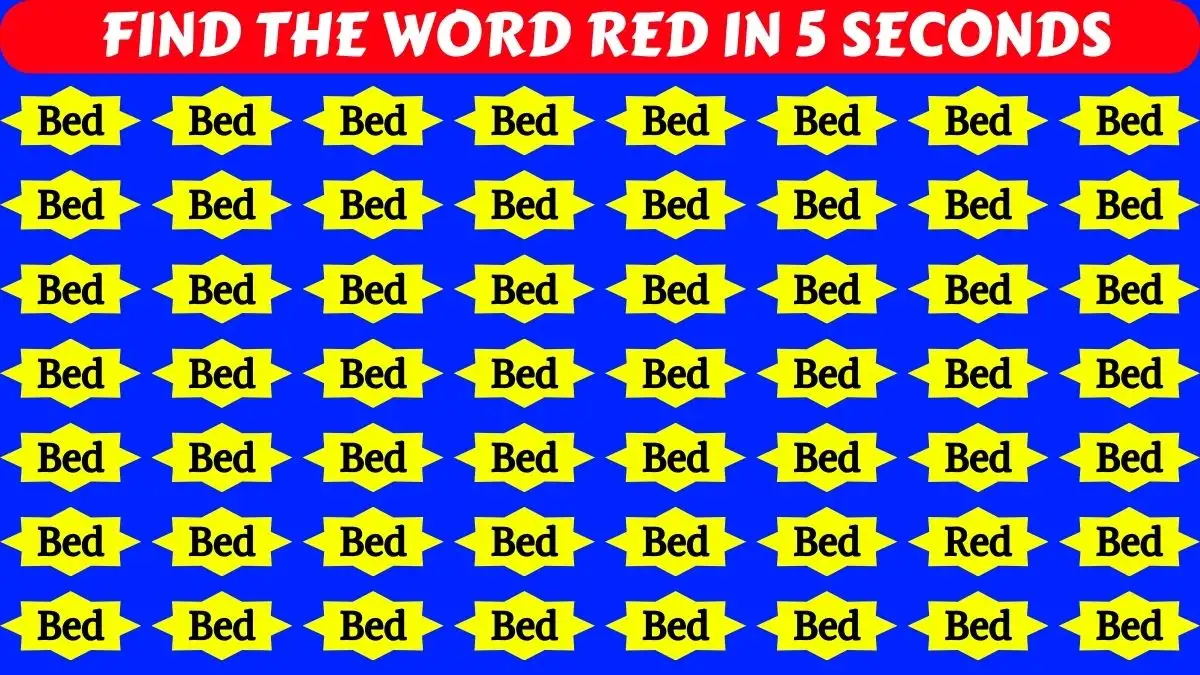 Optical Illusion Brain Test: Only 1% Highly Observational People Can Spot The Word Red among Bed In 5 Seconds!