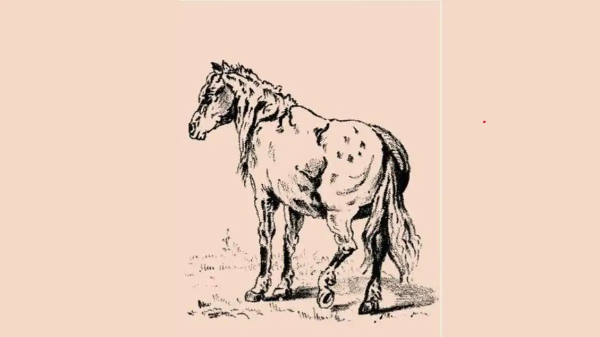 Optical Illusion for IQ Test: Only 1% most attentive people can spot the Horse Owner in this Image within 6 seconds!