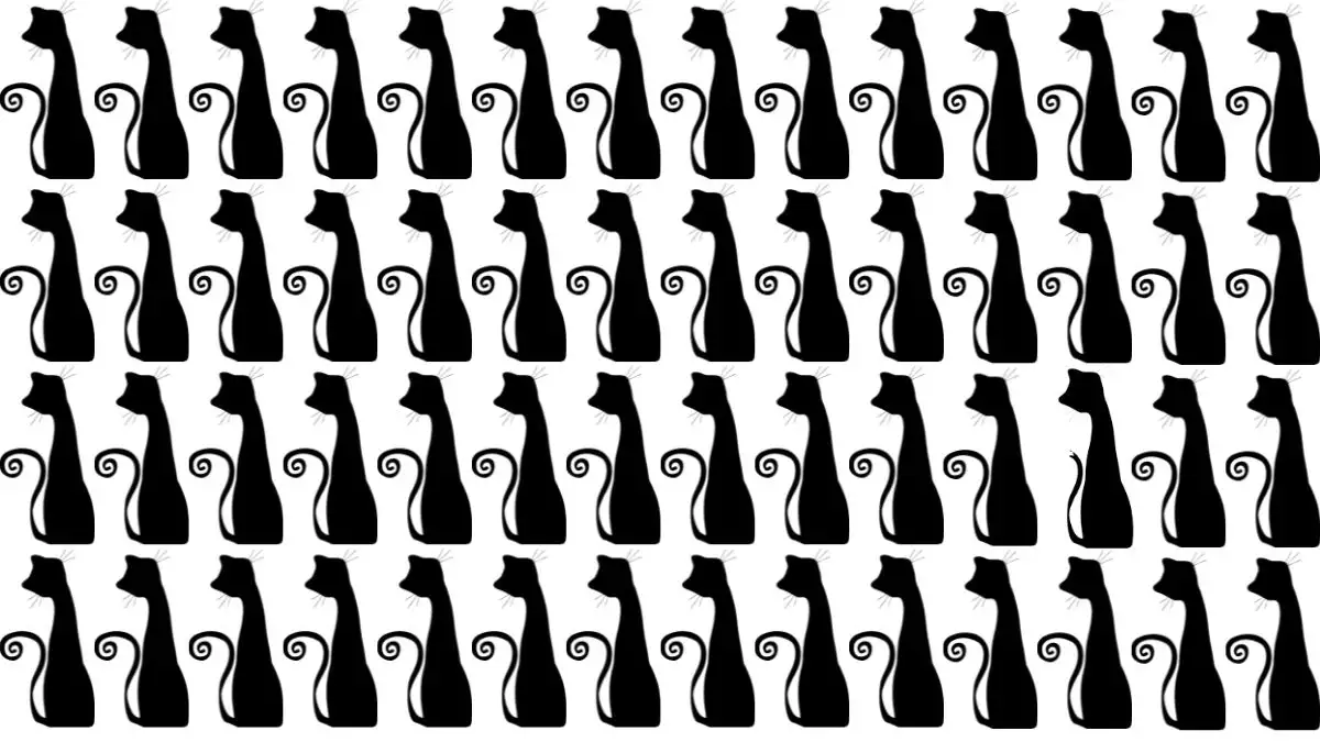 Optical Illusion: How fast can you Spot the Odd Cat in this Visual Puzzle?