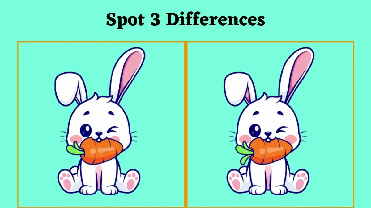 Optical Illusion Spot the Difference Picture Puzzle: Are you a good observer? Spot 3 Differences between the rabbit images in 9 Secs