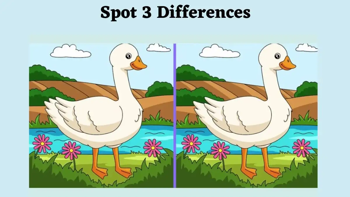 Optical Illusion Spot the Difference picture Puzzle: Are you Smart enough to Spot 3 Differences between the Duck images in 8 Secs?