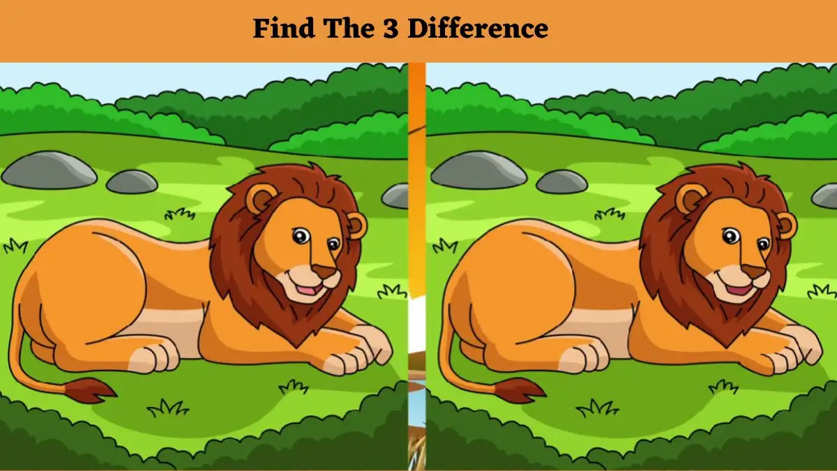 Optical Illusion Spot the Difference Picture Puzzle: Can you spot 3 differences between the Lion pictures in 10 seconds? Only 3% will pass.