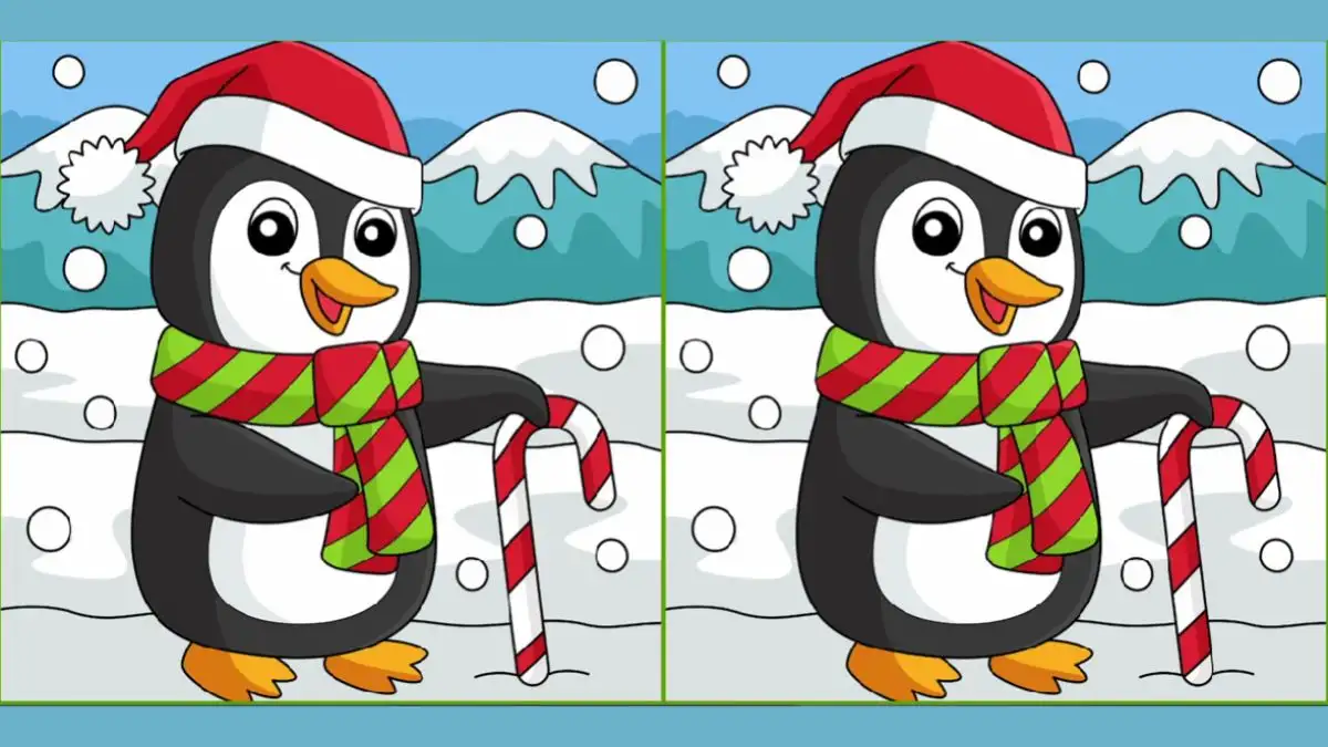 Optical Illusion Spot the Difference Picture Puzzle: Only smart people Can Spot 3 Differences in the Penguin Picture in 16 Secs