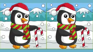 Optical Illusion Spot the Difference Picture Puzzle: Only smart people Can Spot 3 Differences in the Penguin Picture in 16 Secs