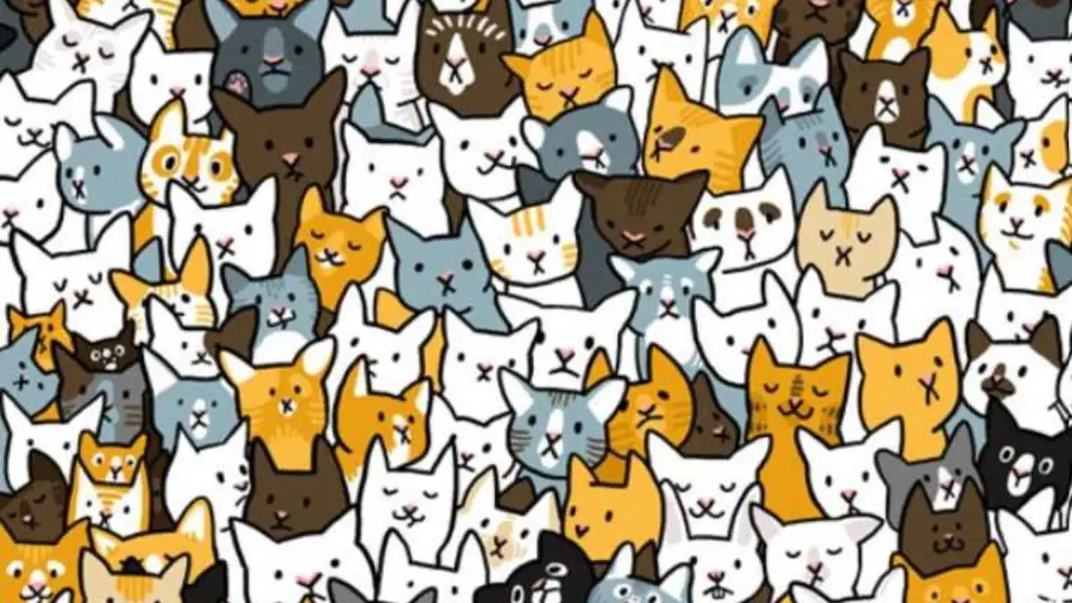 Optical Illusion Visual Test: Test your visual skills by finding the hidden Rabbit among the Cats in 18 seconds