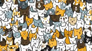 Optical Illusion Visual Test: Test your visual skills by finding the hidden Rabbit among the Cats in 18 seconds