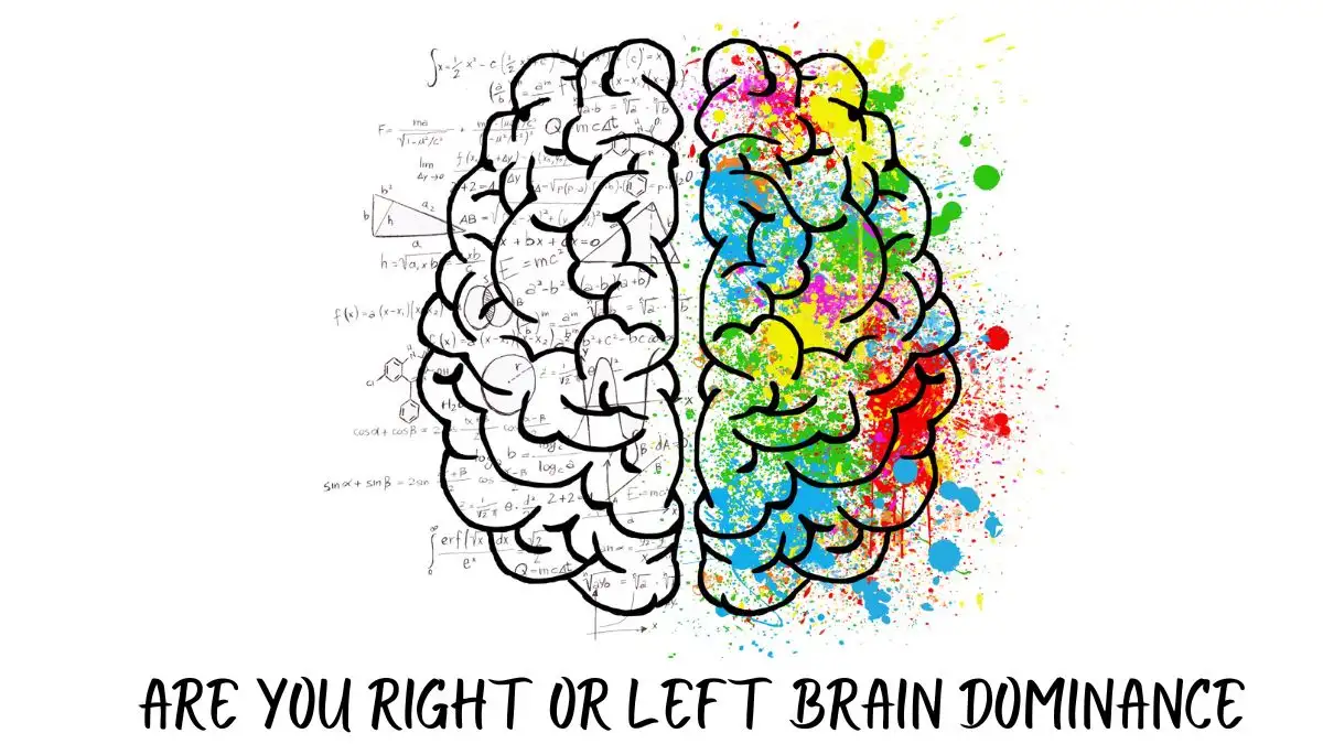 Personality Test: Are You Left or Right Brain Dominance?