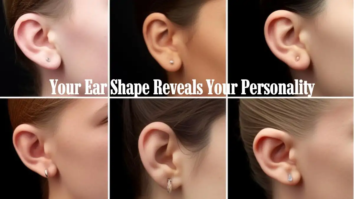 Personality Test: Your Ear Shape Reveals Your Personality