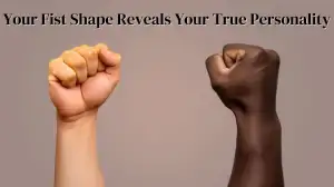 Personality Test: Your Fist Shape Reveals Your True Personality