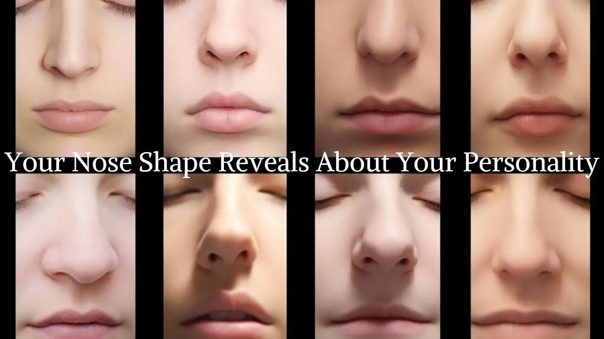 Personality Test: Your Nose Shape Reveals About Your Personality