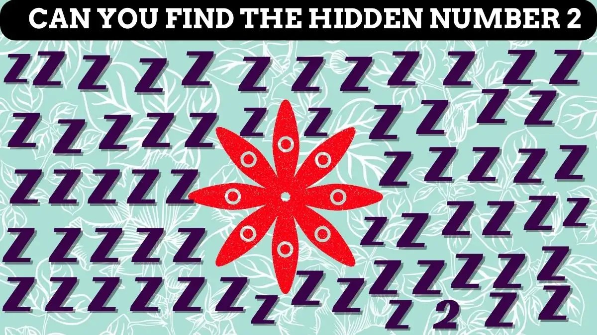 Puzzle for IQ Test: Test your vision by spotting the Hidden Number 2 in the picture in 5 seconds