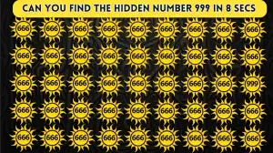 Puzzle IQ Test: Everyone can spot 666 but eagle eye people only find 999 within 8 secs