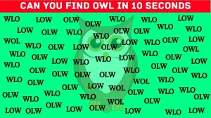 Puzzle Test for You IQ: Only visually talented people can find the Word Owl in 10 seconds.