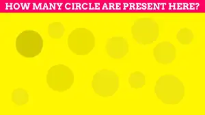 Quickfire Circle IQ: Only a Genius Can Spot How Many Circles are Present Here within 10 seconds!