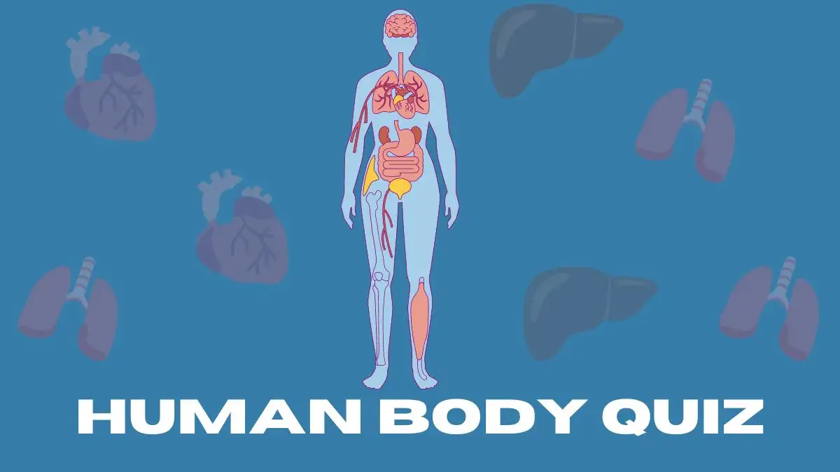 Quiz: Can You Pass This Human Body Quiz?