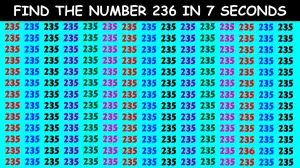 Sharp Vision Quest: Can You Discover the Secret 236 in Just 9 Seconds?