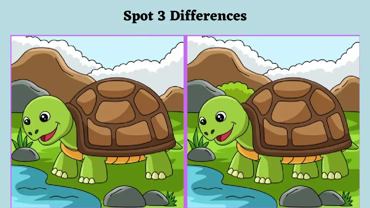 Spot the Difference Picture Puzzle Game: Only the highly observant can spot 3 differences in the Turtle Picture within 12 seconds!