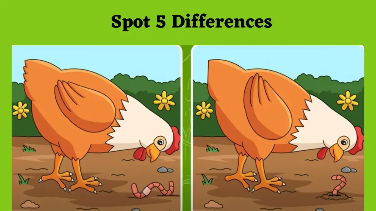 Spot the Difference Picture Puzzle: Only True Observers Will Be Able to Spot 5 Differences in This Hen Picture Within 12 Seconds