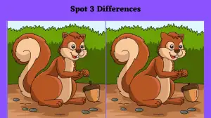 Spot the Difference Picture Puzzle: You are better than 95% of people if you can spot 3 differences in the rabbit Picture in 10 Secs