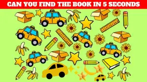 Test your vision by spotting the Hidden Book in the picture in 7 seconds