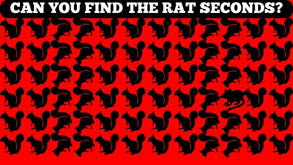 Test your vision by spotting the Hidden Rat in the picture in 8 seconds!