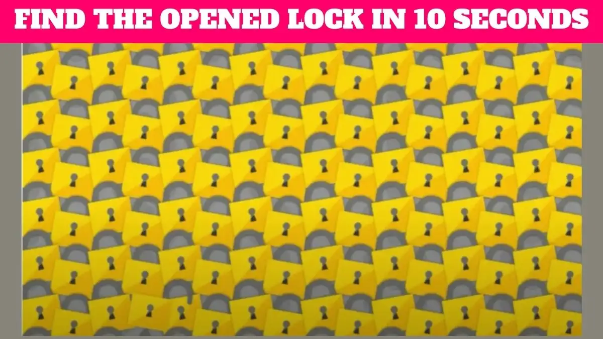 Unlock the Speed: Quick-Thinker's Challenge to Find the Opened Lock in 10 Seconds!