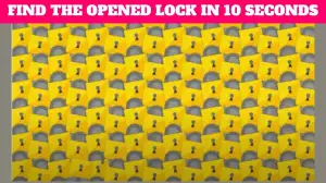 Unlock the Speed: Quick-Thinker's Challenge to Find the Opened Lock in 10 Seconds!