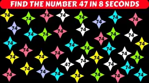 Visionary Challenge: Only the Sharpest Find 47 in 9 Seconds!