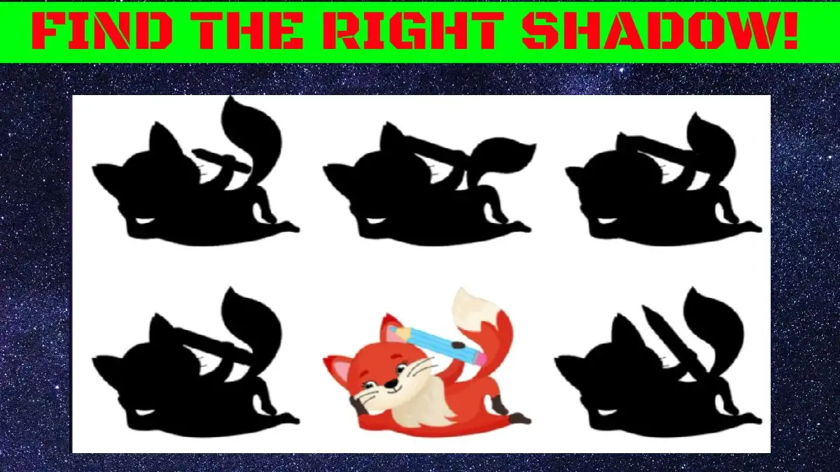 Visual Test: Only 1% People With Super Vision Can Find The Correct Shadow of Fox in this Picture ion 8 Secs