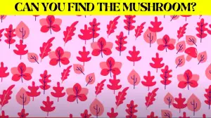 You have 50/50 vision if you can spot the Mushroom in the Leaves Image in 10 seconds!