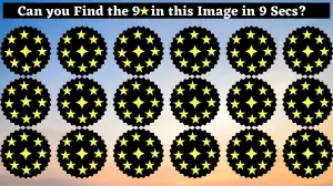 Brain Teaser Eye Test:  People with 50/50 eye power can find the 9 Star in this Image in 9 seconds!