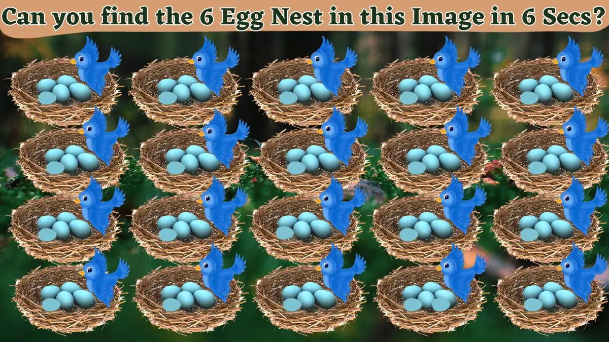 Brain Teaser Puzzle for Geniuses: Only High IQ People Can Spot the 6 Egg Nest in this Image in 6 Secs