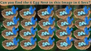 Brain Teaser Puzzle for Geniuses: Only High IQ People Can Spot the 6 Egg Nest in this Image in 6 Secs