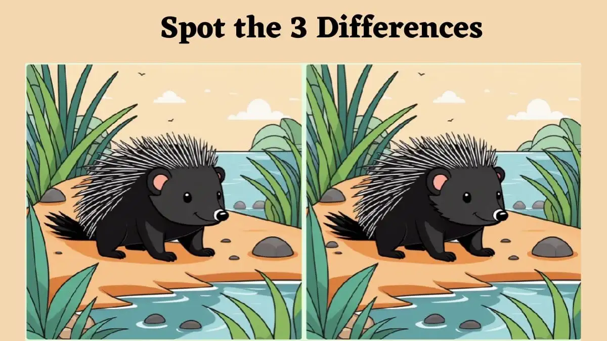 Brain Teaser Spot the Difference Game: Only the sharpest-eyed people can spot 3 Differences in the Hedgehog Picture in 8 Secs?