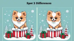 Brain Teaser Spot the Difference Game: Only true observers will be able to spot 3 differences in the cat picture within 6 seconds