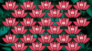 Number Illusion Brain Test: Only 1 Out Of 10 Can Find the Number 18 in this Flower Image in 8 Secs