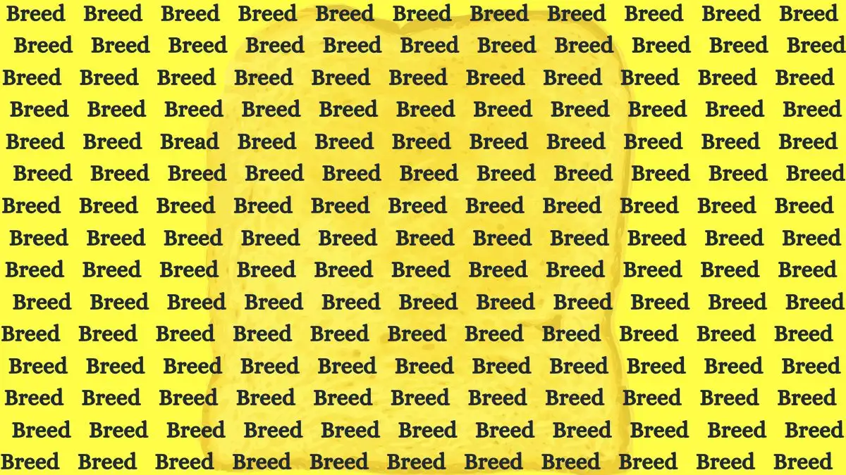 Optical Illusion Brain Challenge: Only 5% Can Spot the Word Bread Among Breed in 15 Secs