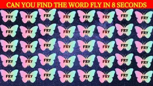 Optical Illusion Brain Challenge: Use Your High Attentiveness To Find The Hidden Word Fly among Fry in 8 Secs