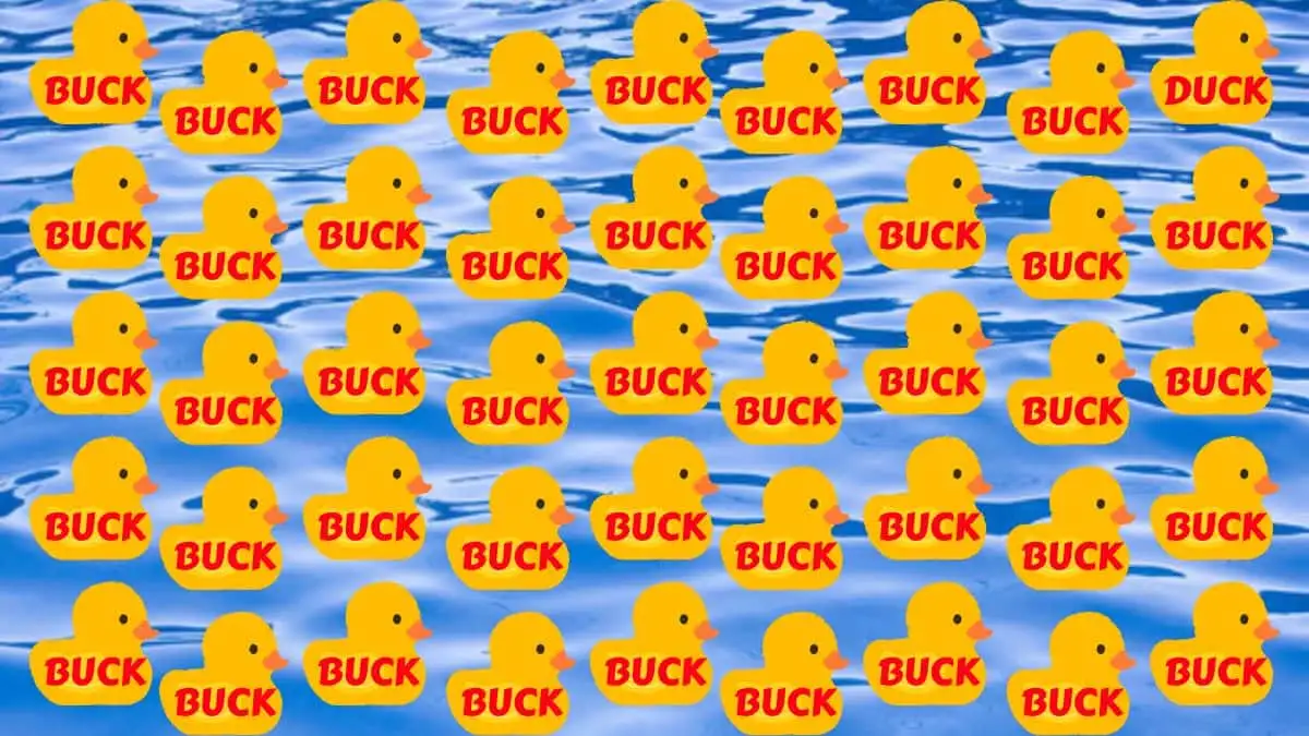 Optical Illusion Brain Test: Only a sharp mind can spot the Word Duck among Buck in 9 Secs