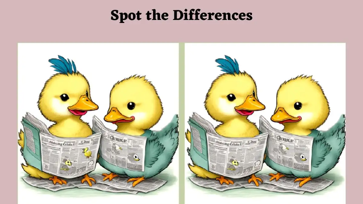 Optical Illusion Find and Seek Picture Puzzle: Only the eagle-eyed can spot 3 differences in the Duck Reading Newspaper picture within 8 seconds